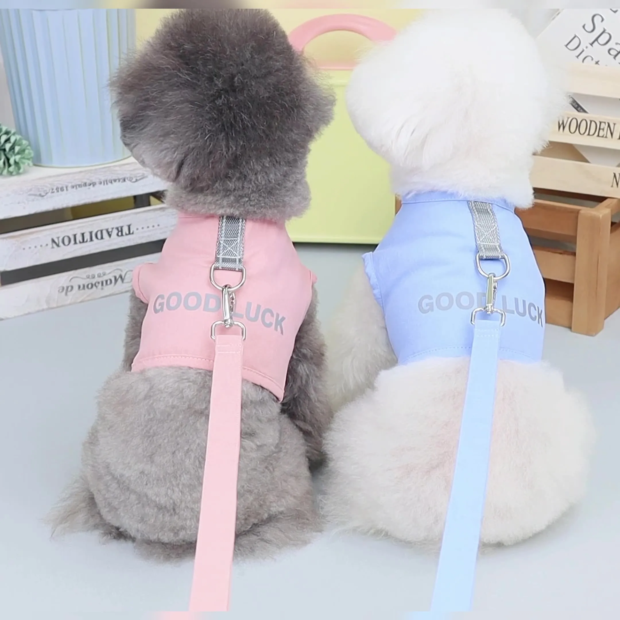 Pet Dog Vest Good Luck Chest Back